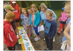 03bdaac5b226c33fc9e69f84a73fb485-8