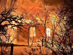 photo_5474617473471548191_y