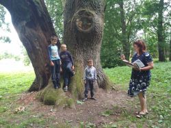 viber_2020-07-08_15-46-04