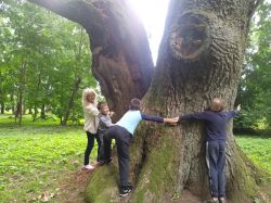 viber_2020-07-08_15-46-05