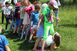 viber_2020-07-08_16-55-35